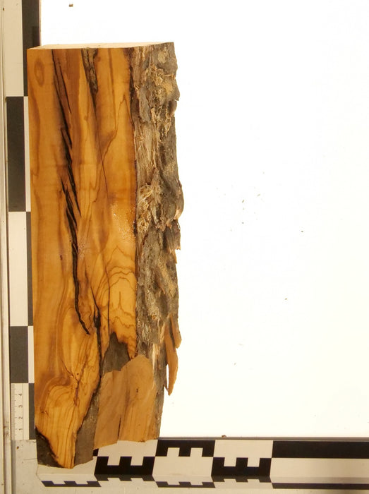 Olivenholz Epoxid Holz 6cm dick Servierbrett Brett 588
