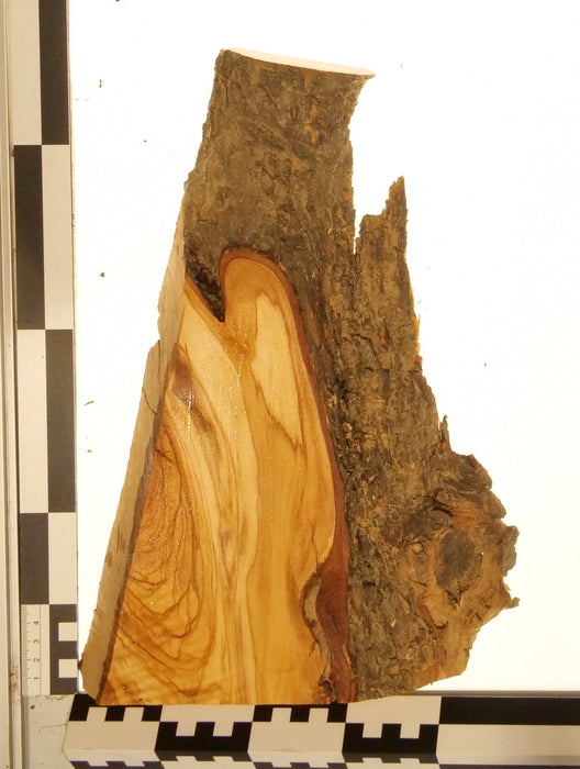 Olivenholz Epoxid Holz 2,5cm dick Servierbrett Brett 589