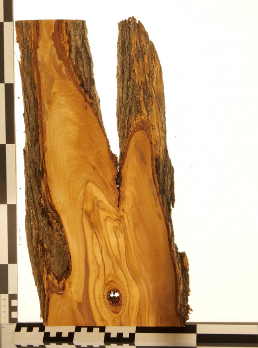 Olivenholz Epoxid Holz 2,9cm dick Servierbrett Brett 590