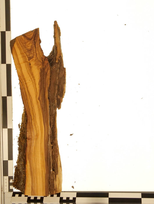 Olivenholz Epoxid Holz 5,3cm dick Servierbrett Brett 595