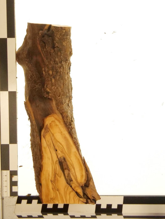 Olivenholz Epoxid Holz 5,3cm dick Servierbrett Brett 597