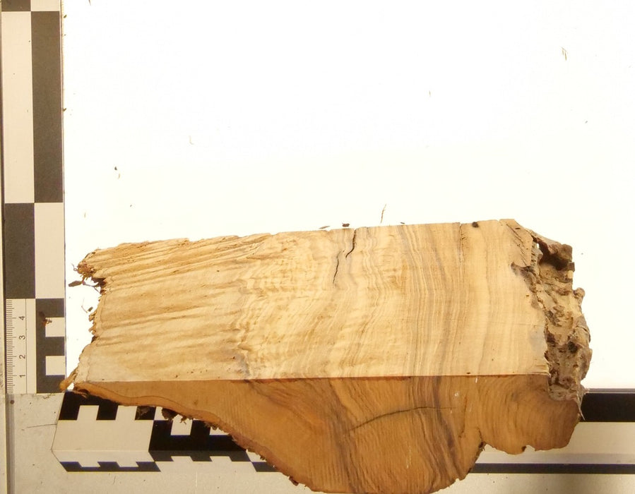 Olivenholz Epoxid Holz 5cm dick Servierbrett Brett 598