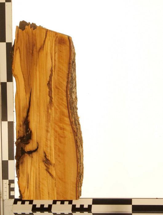 Olivenholz Epoxid Holz 2,3cm dick Servierbrett Brett 601
