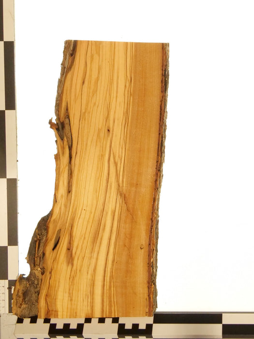 Olivenholz Epoxid Holz 3cm dick Servierbrett Brett 602