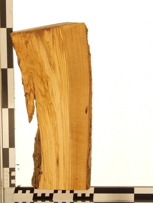 Olivenholz Epoxid Holz 3cm dick Servierbrett Brett 603