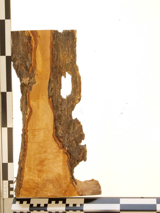 Olivenholz Epoxid Holz 3cm dick Servierbrett Brett 606