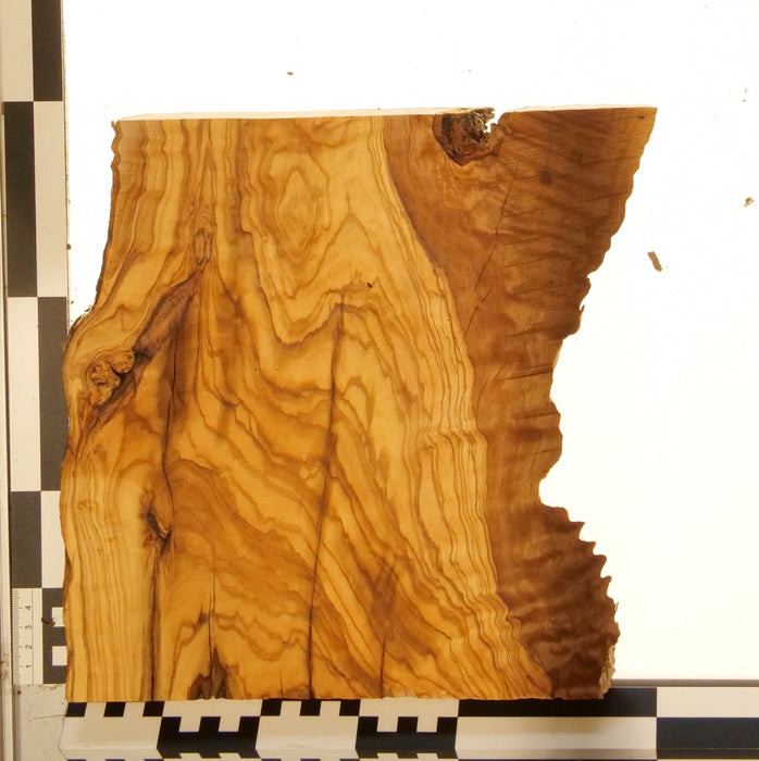 Olivenholz Epoxid Holz 2,7cm dick Servierbrett Brett 607