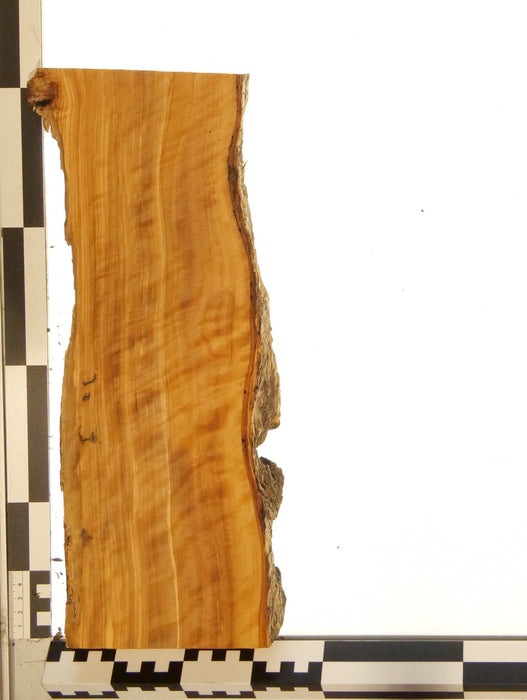 Olivenholz Epoxid Holz 3cm dick Servierbrett Brett 609