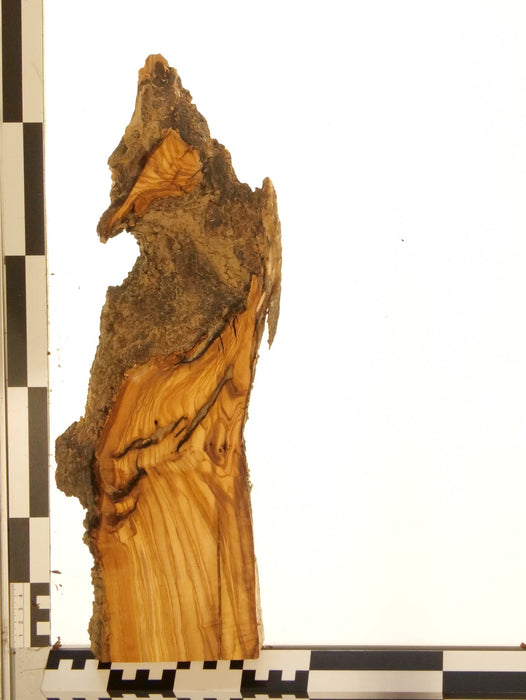Olivenholz Epoxid Holz 3cm dick Servierbrett Brett 610