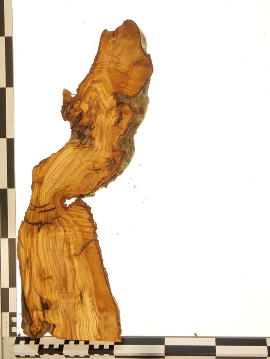 Olivenholz Epoxid Holz 3cm dick Servierbrett Brett 614