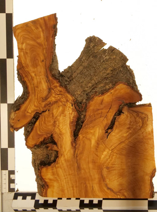 Olivenholz Epoxid Holz 3,3cm dick Servierbrett Brett 615