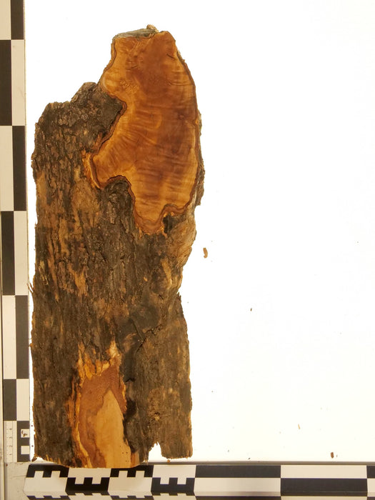 Olivenholz Epoxid Holz 3,3cm dick Servierbrett Brett 618