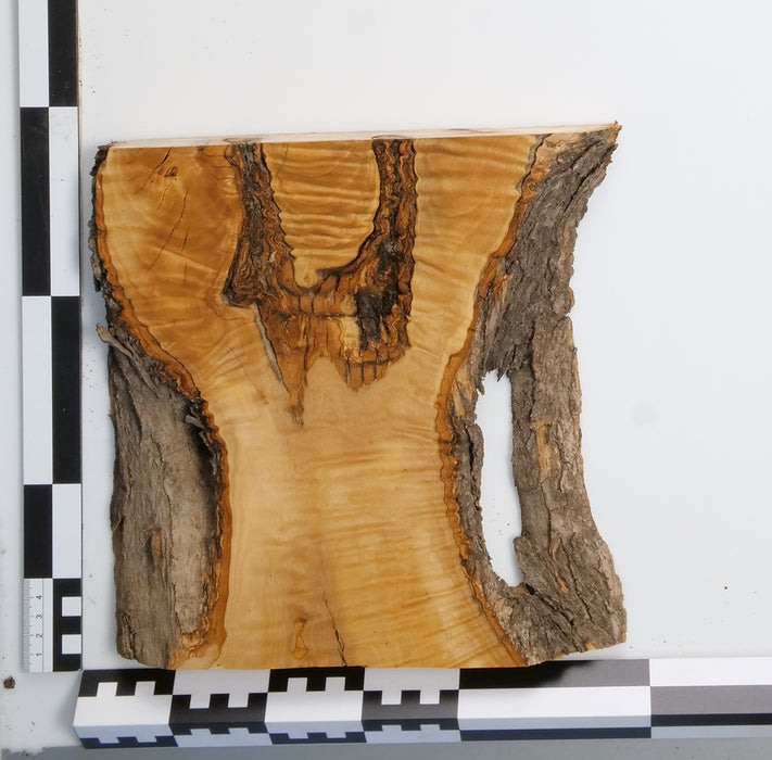Olivenholz Epoxid Holz 3,5cm dick Servierbrett Brett A134