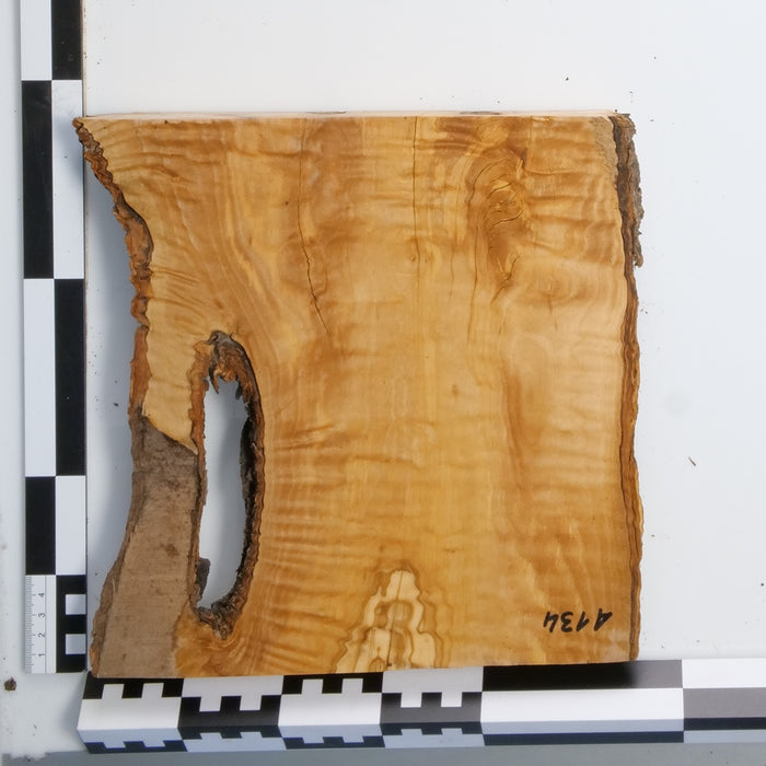 Olivenholz Epoxid Holz 3,5cm dick Servierbrett Brett A134