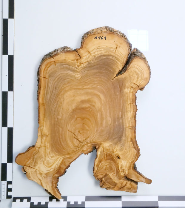 Olivenholz Epoxid Holz 3cm dick Servierbrett Brett A169
