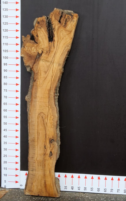 Olivenholz Epoxid Holz 4cm dick Servierbrett Brett B14