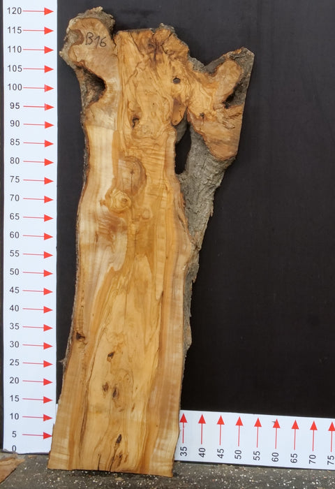 Olivenholz Epoxid Holz 3,8cm dick Servierbrett Brett B16