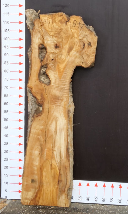 Olivenholz Epoxid Holz 4cm dick Servierbrett Brett B17