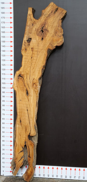 Olivenholz Epoxid Holz 4cm dick Servierbrett Brett B24