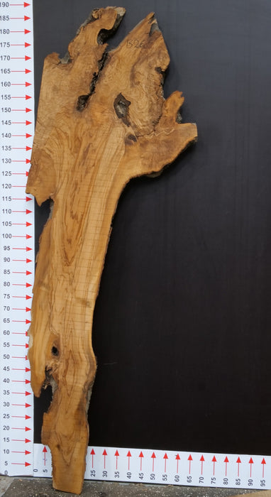 Olivenholz Epoxid Holz 4cm dick Servierbrett Brett B26