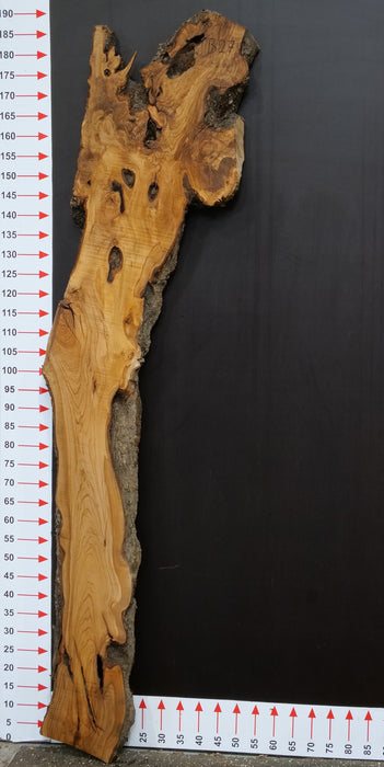 Olivenholz Epoxid Holz 4cm dick Servierbrett Brett B27